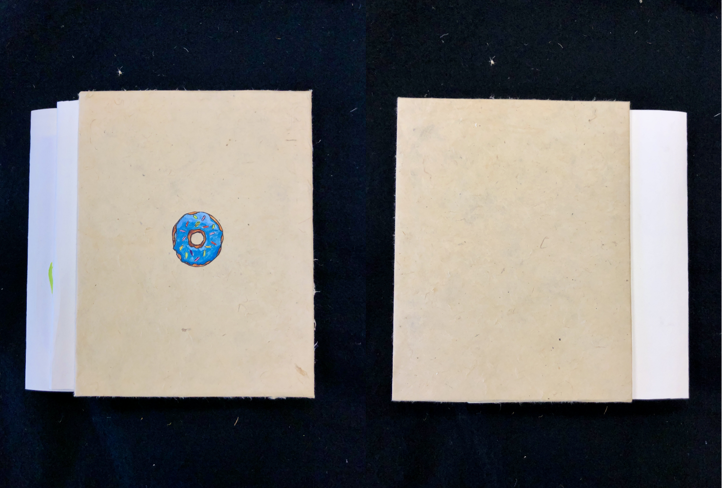 The front and back cover of the book